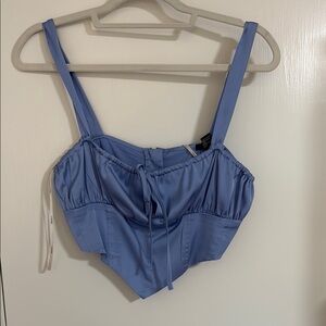 Blue Corset Crop Top